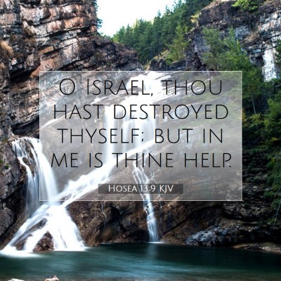 Picture 07 - Hosea 13:9 KJV - O Israel, thou hast destroyed thyself; but in me - Bible Verse Picture