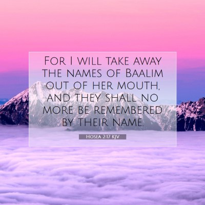 Picture 07 - Hosea 2:17 KJV - For I will take away the names of Baalim out of - Bible Verse Picture