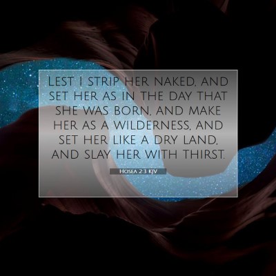Picture 07 - Hosea 2:3 KJV - Lest I strip her naked, and set her as in the day - Bible Verse Picture
