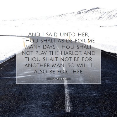 Picture 07 - Hosea 3:3 KJV - And I said unto her, Thou shalt abide for me many - Bible Verse Picture