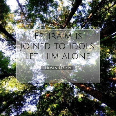 Picture 07 - Hosea 4:17 KJV - Ephraim is joined to idols: let him - Bible Verse Picture
