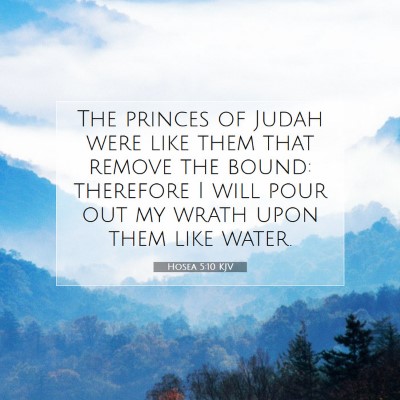 Picture 07 - Hosea 5:10 KJV - The princes of Judah were like them that remove - Bible Verse Picture