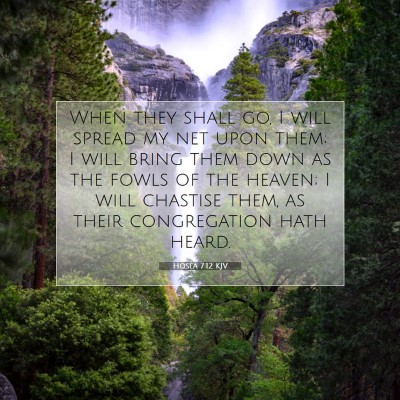 Picture 07 - Hosea 7:12 KJV - When they shall go, I will spread my net upon - Bible Verse Picture