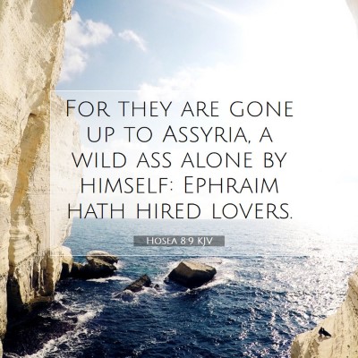 Picture 07 - Hosea 8:9 KJV - For they are gone up to Assyria, a wild ass alone - Bible Verse Picture