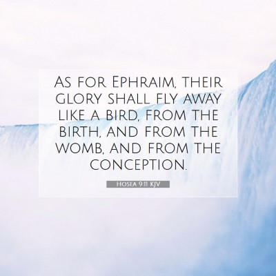 Picture 07 - Hosea 9:11 KJV - As for Ephraim, their glory shall fly away like a - Bible Verse Picture