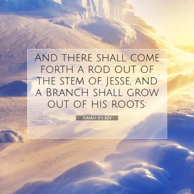 Picture 07 - Isaiah 11:1 KJV - And there shall come forth a rod out of the stem - Bible Verse Picture