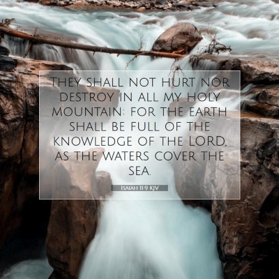 Picture 07 - Isaiah 11:9 KJV - They shall not hurt nor destroy in all my holy - Bible Verse Picture