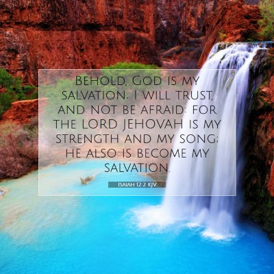 Picture 07 - Isaiah 12:2 KJV - Behold, God is my salvation; I will trust, and - Bible Verse Picture