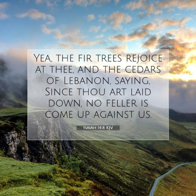 Picture 07 - Isaiah 14:8 KJV - Yea, the fir trees rejoice at thee, and the - Bible Verse Picture