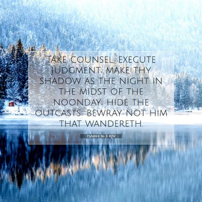 Picture 07 - Isaiah 16:3 KJV - Take counsel, execute judgment; make thy shadow - Bible Verse Picture