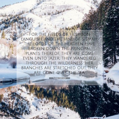 Picture 07 - Isaiah 16:8 KJV - For the fields of Heshbon languish, and the vine - Bible Verse Picture