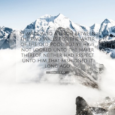 Picture 07 - Isaiah 22:11 KJV - Ye made also a ditch between the two walls for - Bible Verse Picture