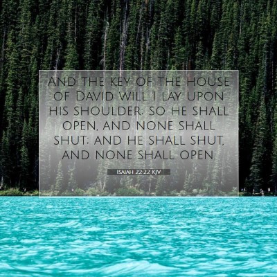 Picture 07 - Isaiah 22:22 KJV - And the key of the house of David will I lay upon - Bible Verse Picture