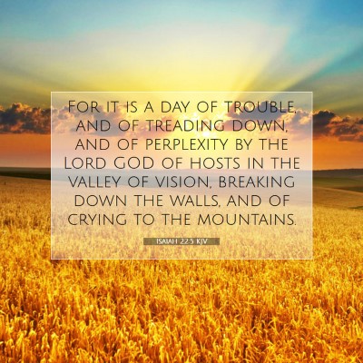 Picture 07 - Isaiah 22:5 KJV - For it is a day of trouble, and of treading down, - Bible Verse Picture