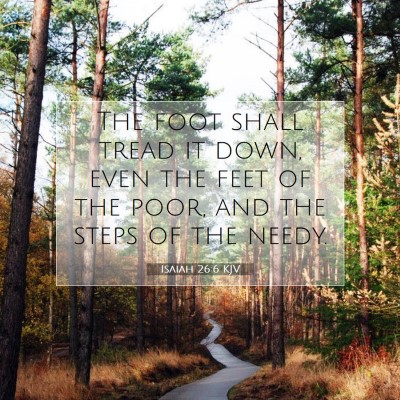 Picture 07 - Isaiah 26:6 KJV - The foot shall tread it down, even the feet of - Bible Verse Picture