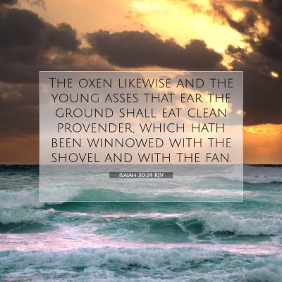 Picture 07 - Isaiah 30:24 KJV - The oxen likewise and the young asses that ear - Bible Verse Picture