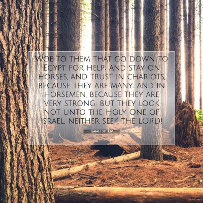Picture 07 - Isaiah 31:1 KJV - Woe to them that go down to Egypt for help; and - Bible Verse Picture