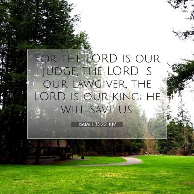 Picture 07 - Isaiah 33:22 KJV - For the LORD is our judge, the LORD is our - Bible Verse Picture