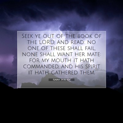 Picture 07 - Isaiah 34:16 KJV - Seek ye out of the book of the LORD, and read: no - Bible Verse Picture