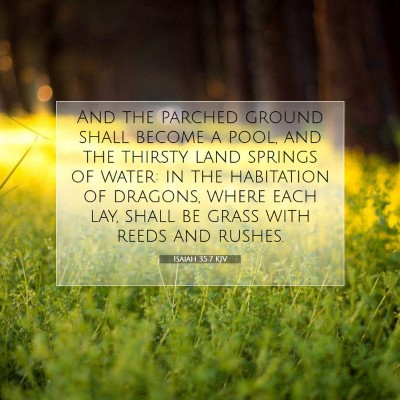 Picture 07 - Isaiah 35:7 KJV - And the parched ground shall become a pool, and - Bible Verse Picture