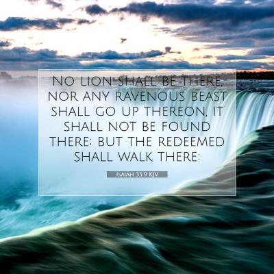 Picture 07 - Isaiah 35:9 KJV - No lion shall be there, nor any ravenous beast - Bible Verse Picture