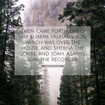 Picture 07 - Isaiah 36:3 KJV - Then came forth unto him Eliakim, Hilkiah's son, - Bible Verse Picture