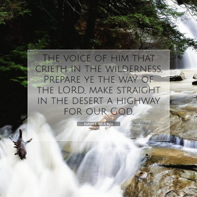 Picture 07 - Isaiah 40:3 KJV - The voice of him that crieth in the wilderness, - Bible Verse Picture