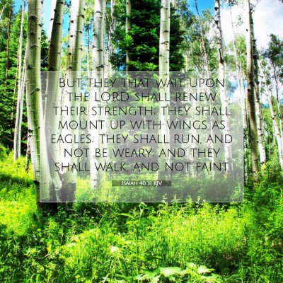 Picture 07 - Isaiah 40:31 KJV - But they that wait upon the LORD shall renew - Bible Verse Picture