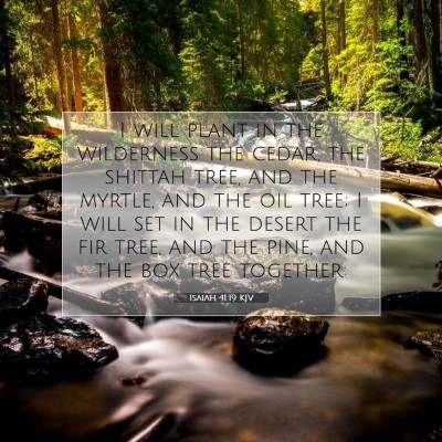 Picture 07 - Isaiah 41:19 KJV - I will plant in the wilderness the cedar, the - Bible Verse Picture