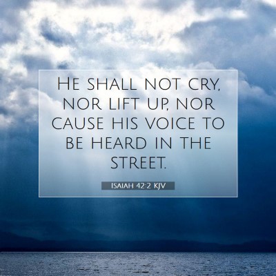Picture 07 - Isaiah 42:2 KJV - He shall not cry, nor lift up, nor cause his - Bible Verse Picture