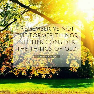 Picture 07 - Isaiah 43:18 KJV - Remember ye not the former things, neither - Bible Verse Picture