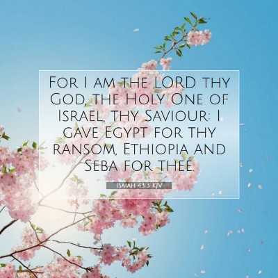 Picture 07 - Isaiah 43:3 KJV - For I am the LORD thy God, the Holy One of - Bible Verse Picture