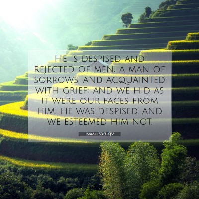 Picture 07 - Isaiah 53:3 KJV - He is despised and rejected of men; a man of - Bible Verse Picture