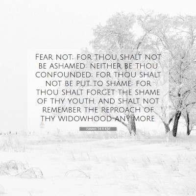 Picture 07 - Isaiah 54:4 KJV - Fear not; for thou shalt not be ashamed: neither - Bible Verse Picture