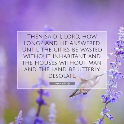 Picture 07 - Isaiah 6:11 KJV - Then said I, Lord, how long? And he answered, - Bible Verse Picture
