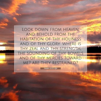 Picture 07 - Isaiah 63:15 KJV - Look down from heaven, and behold from the - Bible Verse Picture