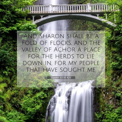 Picture 07 - Isaiah 65:10 KJV - And Sharon shall be a fold of flocks, and the - Bible Verse Picture