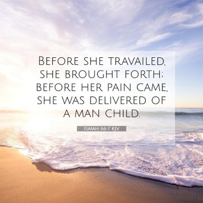 Picture 07 - Isaiah 66:7 KJV - Before she travailed, she brought forth; before - Bible Verse Picture