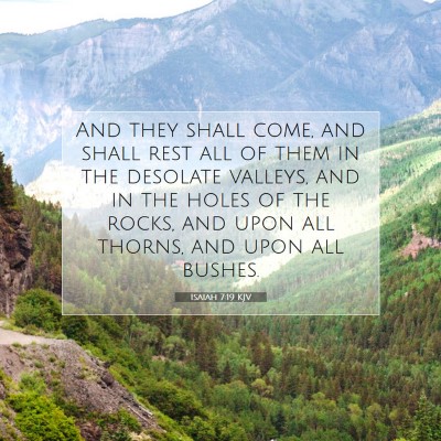 Picture 07 - Isaiah 7:19 KJV - And they shall come, and shall rest all of them - Bible Verse Picture
