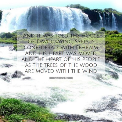 Picture 07 - Isaiah 7:2 KJV - And it was told the house of David, saying, Syria - Bible Verse Picture