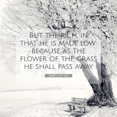 Picture 07 - James 1:10 KJV - But the rich, in that he is made low: because as - Bible Verse Picture