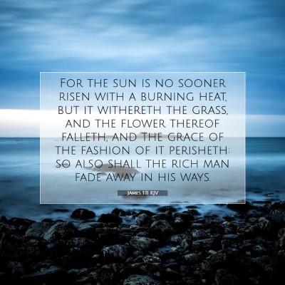 Picture 07 - James 1:11 KJV - For the sun is no sooner risen with a burning - Bible Verse Picture