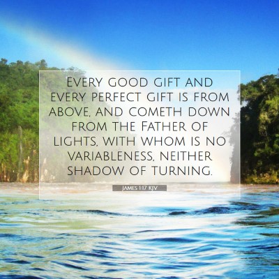 Picture 07 - James 1:17 KJV - Every good gift and every perfect gift is from - Bible Verse Picture