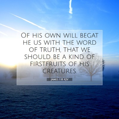 Picture 07 - James 1:18 KJV - Of his own will begat he us with the word of - Bible Verse Picture