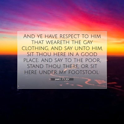 Picture 07 - James 2:3 KJV - And ye have respect to him that weareth the gay - Bible Verse Picture