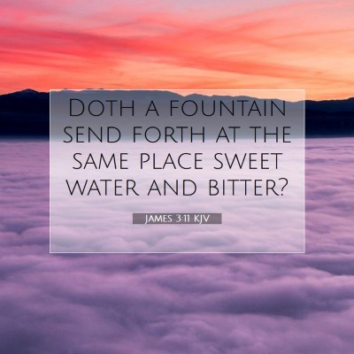 Picture 07 - James 3:11 KJV - Doth a fountain send forth at the same place - Bible Verse Picture