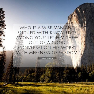 Picture 07 - James 3:13 KJV - Who is a wise man and endued with knowledge among - Bible Verse Picture