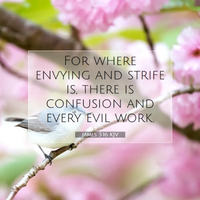 Picture 07 - James 3:16 KJV - For where envying and strife is, there is - Bible Verse Picture