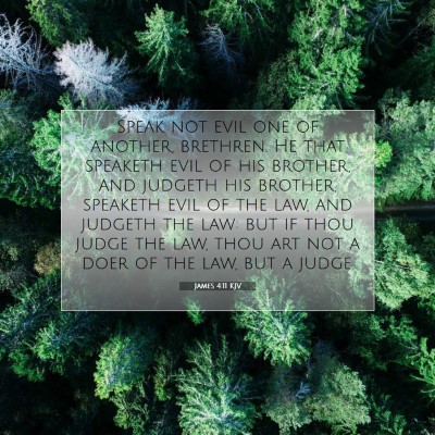 Picture 07 - James 4:11 KJV - Speak not evil one of another, brethren. He that - Bible Verse Picture