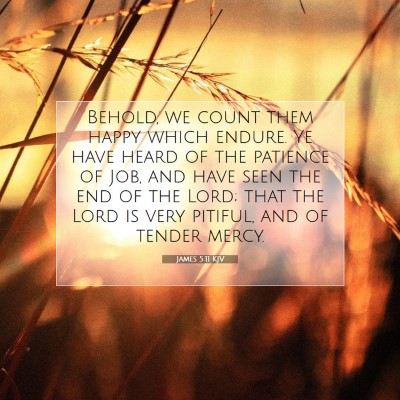 Picture 07 - James 5:11 KJV - Behold, we count them happy which endure. Ye have - Bible Verse Picture